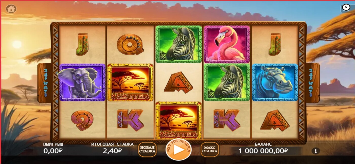 Safari Discovery